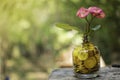 Tree with flowers growing on glass piggy bank from pile of gold Royalty Free Stock Photo