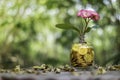 Tree with flowers growing on glass piggy bank from pile of gold Royalty Free Stock Photo