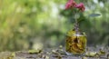 Tree with flowers growing on glass piggy bank from pile of gold Royalty Free Stock Photo