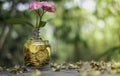 Tree with flowers growing on glass piggy bank from pile of gold Royalty Free Stock Photo
