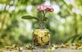 Tree with flowers growing on glass piggy bank from pile of gold Royalty Free Stock Photo