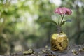 Tree with flowers growing on glass piggy bank from pile of gold Royalty Free Stock Photo