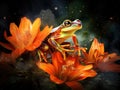 Tree Flying frog on the lotus bud