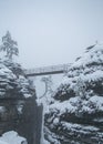 Tree in fog covered with snow, Elbe Sandstone Mountains National Park of Saxon Switzerland on the Bastei bridge in winter, Germany Royalty Free Stock Photo