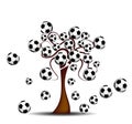 Tree with footballs