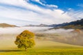 A tree in the foreground of a foggy autumn landscape Royalty Free Stock Photo