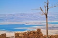 Tree on foreground of a view of the Dead Sea in the Judean Desert as seen from Masada