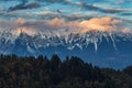 Tree forest with the background of high snowy mountains under the cloudy sky in Bled, Slovenia Royalty Free Stock Photo