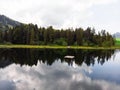 Tree forest reflection in alpine mountain lake Schwendisee Wildhaus Unterwasser Toggenburg St Gallen Switzerland alps