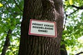 Tree in the forest with warning signboard about danger of fire Royalty Free Stock Photo