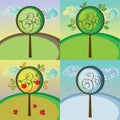 A tree in four different seasons Royalty Free Stock Photo