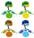 Tree four seasons Royalty Free Stock Photo