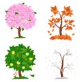 Tree in four seasons - spring, summer, autumn, winter. Collection of Apple trees isolated on white background. Trees Royalty Free Stock Photo