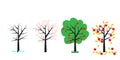 A tree in four seasons. Spring summer autumn and winter tree. Vector illustration Royalty Free Stock Photo