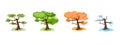 Tree in four seasons - spring, summer, autumn, winter. Vector illustration. Set of trees. Simple shape, flat style Royalty Free Stock Photo