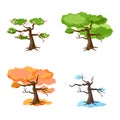 Tree in four seasons - spring, summer, autumn, winter. Vector illustration. Isolated on white background. Set of trees Royalty Free Stock Photo