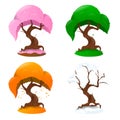 Tree in four seasons on white background Royalty Free Stock Photo