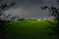 Tree Framed Fields, Torbay