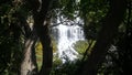 Tree framed waterfalls