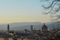 A tree frames a view over Florence`s Duomo Royalty Free Stock Photo