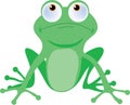 Tree Frog