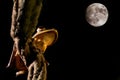 Tree frog amphibian and moon light at night