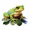 Simple Tree Frog Clip Art With White Margins