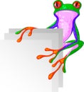 Tree Frog for the corner