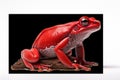 Tree frog cut out. Generative AI Royalty Free Stock Photo