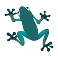 Tree frog design doodle. Vector. Royalty Free Stock Photo
