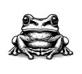 Tree Frog hand drawn vector graphic Royalty Free Stock Photo