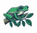 Tree Frog hand drawn vector graphic Royalty Free Stock Photo
