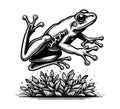 Tree Frog hand drawn vector graphic Royalty Free Stock Photo