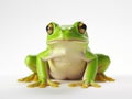 Ai Generated illustration Wildlife Concept of Tree frog Royalty Free Stock Photo