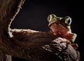 Tree frog at night in jungle moonlight Royalty Free Stock Photo