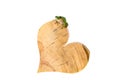 Tree frog sitting on wooden heart isolated on white clipping path included