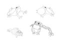 Tree frogs and toads, colouring book page uncolored