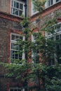 Tree in front of a block of flats in Islington, London, UK Royalty Free Stock Photo