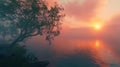 A tree is in front of a body of water with a beautiful sunset in the background Royalty Free Stock Photo