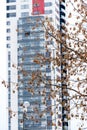 Tree in front of a modern house