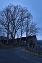 Tree in front of wall of castle ruin Royalty Free Stock Photo