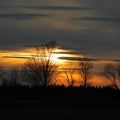 Trees in front of yellow and orange storm cloud sunset in FLX Royalty Free Stock Photo