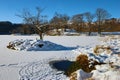 Tree on frozen Rydal Water Royalty Free Stock Photo