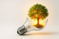 A tree with fruits grows inside a broken light bulb. Space for text. Royalty Free Stock Photo