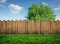 Tree in garden and wooden backyard fence