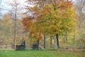 Tree and gate in beautiful autumn colurs