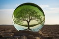 Tree in glass ball on soil crack in desert