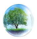 Tree in glass bubble Royalty Free Stock Photo