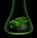 Tree in glass retort. Vector