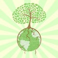 Tree on globe Royalty Free Stock Photo